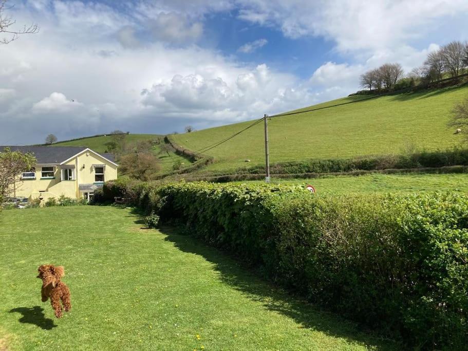 Charming Countryside Cottage Ground Floor Apartment In Combeinteignhead Devon Bishopsteignton Экстерьер фото